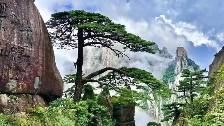 appreciate the beauty of Huangshan4