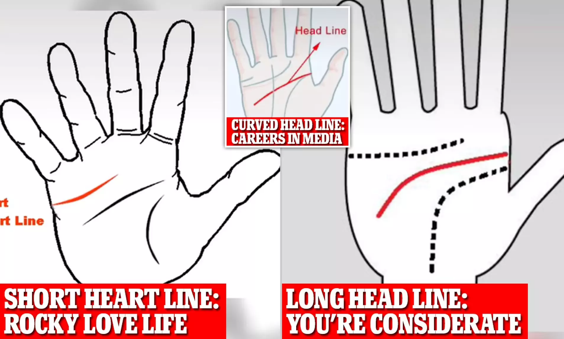 Palm Reading