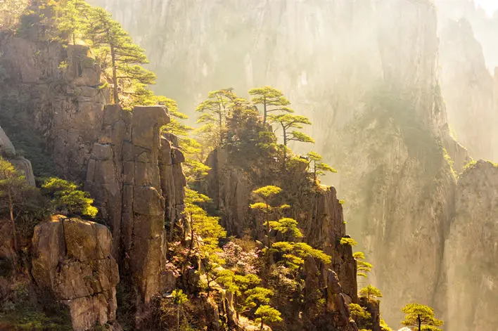 Huangshan In-depth Tour