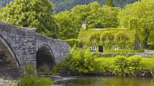 natural scenery and rural life1