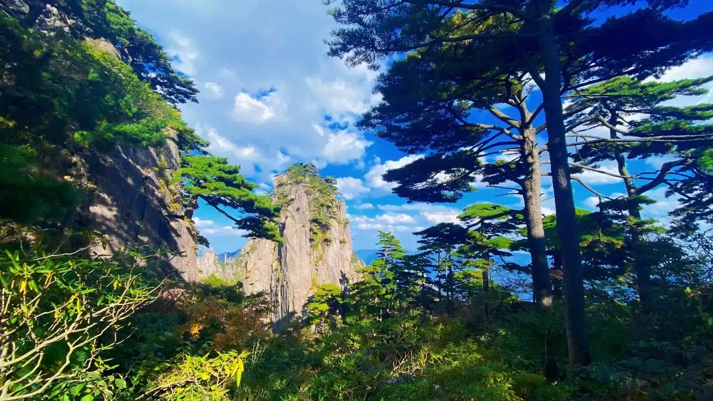 Huangshan Day Tour Huangshan Day Tour
