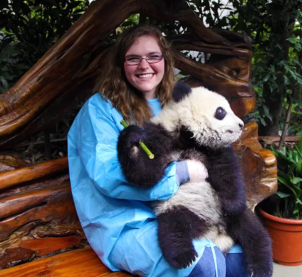 Where can I hold a baby panda?