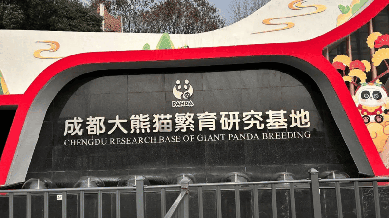 Book tickets for Chengdu Giant Panda Breeding Base