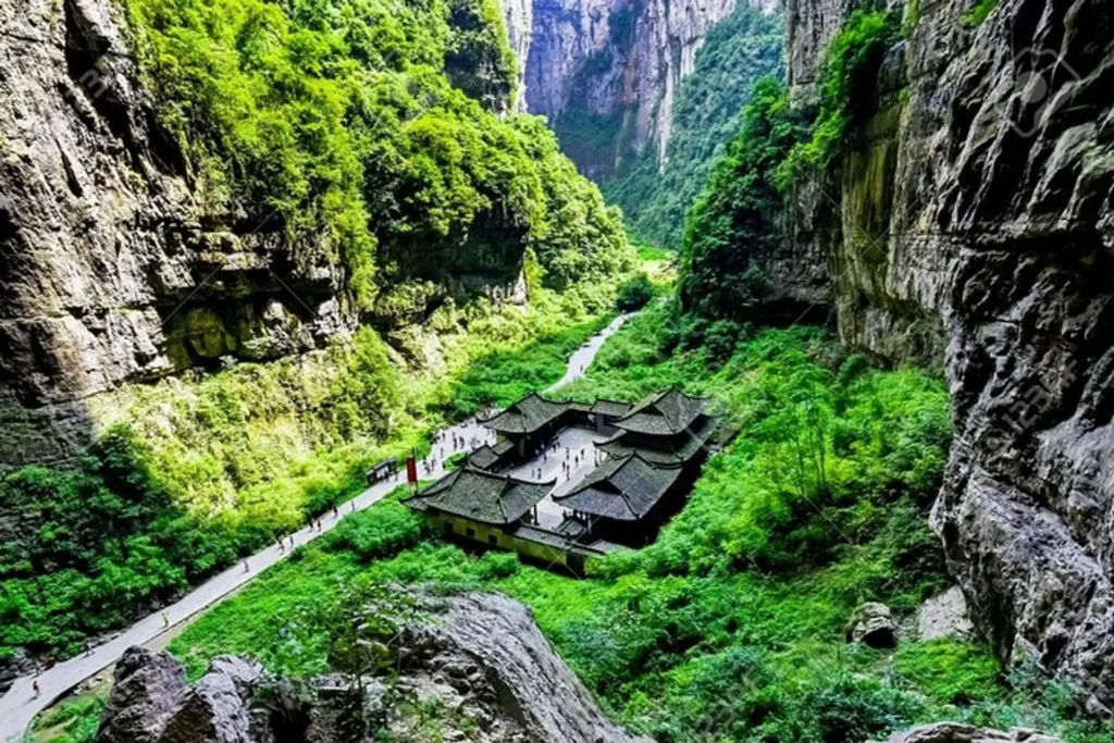 China Nature Tour