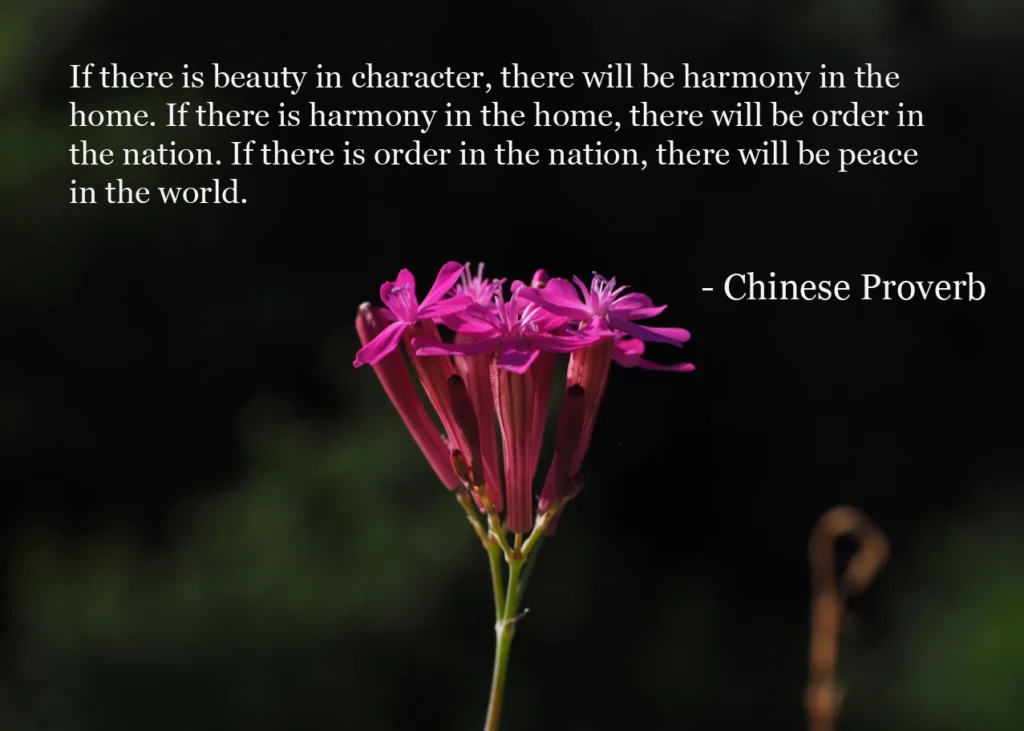The Most Important Chinese Proverbs for Travelers