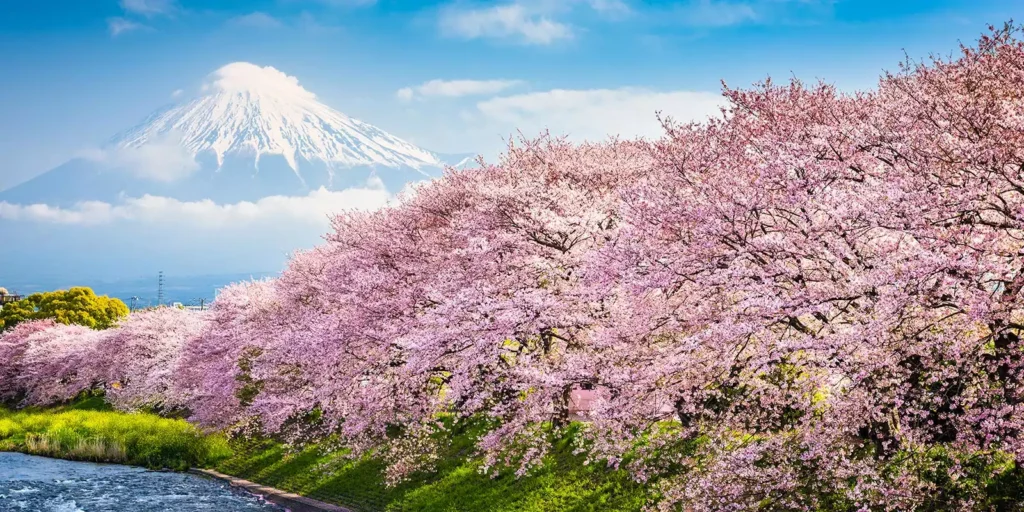 Best Time to Visit China: A Seasonal Guide