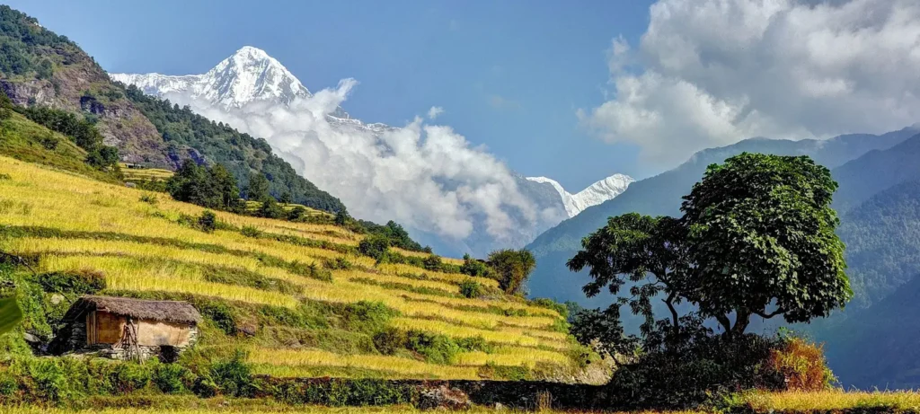 Eco-Tourism in Tibet: Sustainable Travel Practices