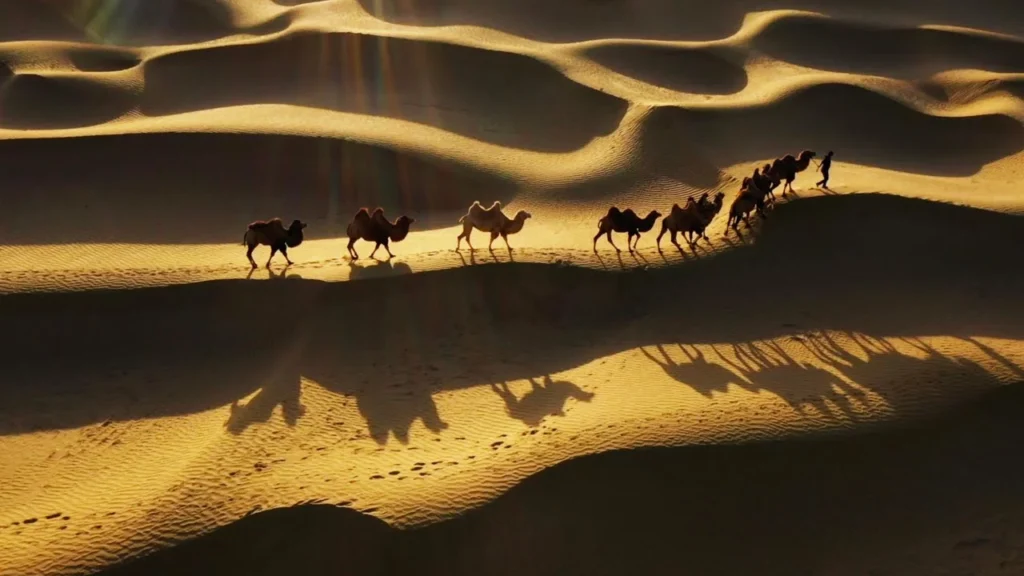 Exploring the Desert Landscapes of Taklamakan