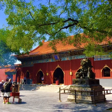 Beijing Capital Museum, Lama Temple, Confucius Temple, Beijing Panda House and Ancient City Wall Private Tour