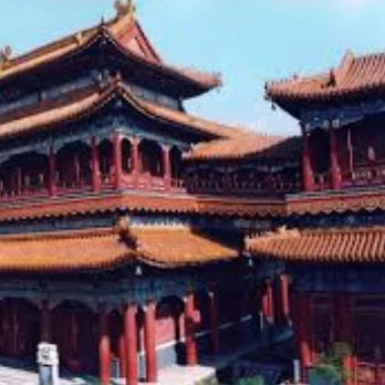 Beijing Capital Museum, Lama Temple, Confucius Temple, Beijing Panda House and Ancient City Wall Private Tour