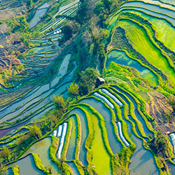 Yunnan