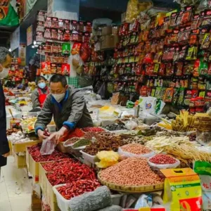 1 Day Chengdu Lifestyle Tour