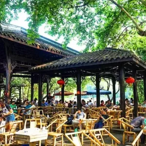 1 Day Chengdu Lifestyle Tour