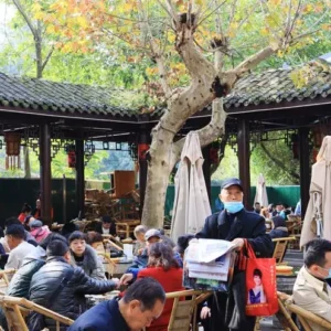 1 Day Chengdu Lifestyle Tour