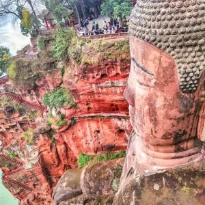 1 Day Chengdu Panda & Leshan Giant Buddha Tour