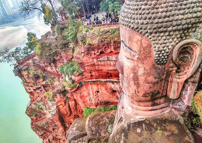1 Day Chengdu Panda & Leshan Giant Buddha Tour
