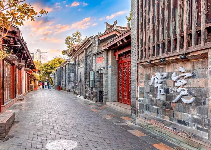 1 Day Chengdu Panda Tour