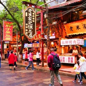 1 Day Xian Cultural Tour