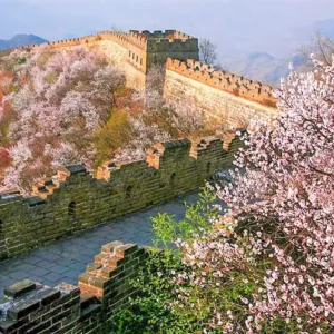 10 Days Classic China Tour