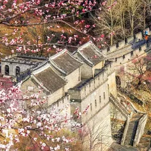 11 Days Shanghai Huangshan Xian Beijing Stunning Group Tour