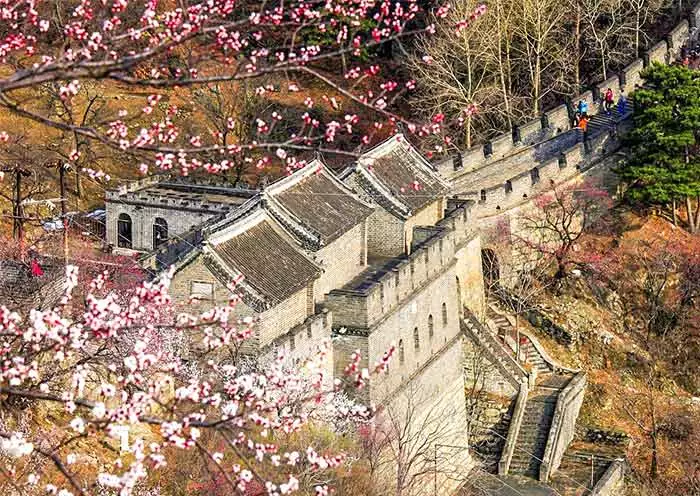 11 Days Shanghai Huangshan Xian Beijing Stunning Group Tour