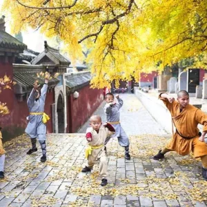 4 Days Luoyang Longmen Grottoes