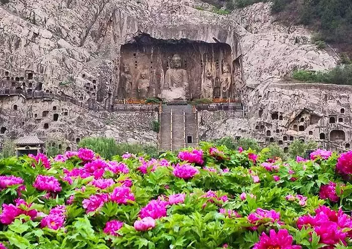 4 Days Luoyang Longmen Grottoes