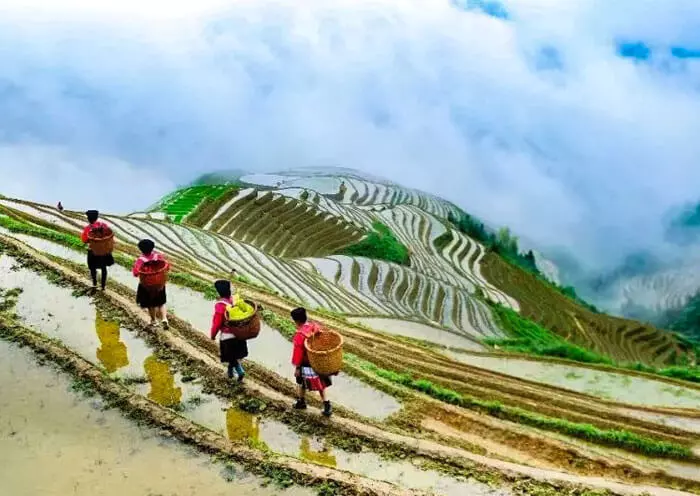 5 Days Amazing Guilin Tour