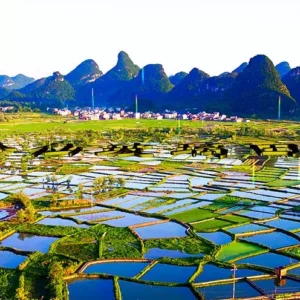 5 Days Guilin Yangshuo Tour