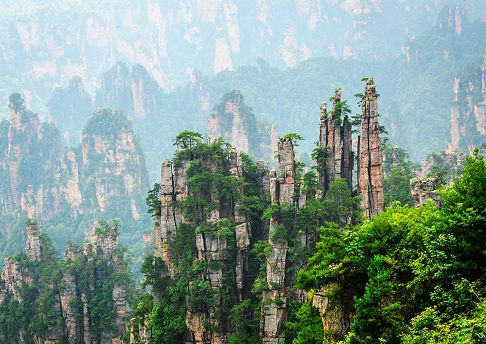 8 Days Miraculous Nature Tour
