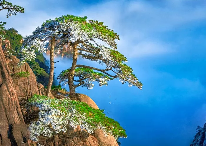 9 Days Shanghai Suzhou Hangzhou Huangshan Eastern China Tour