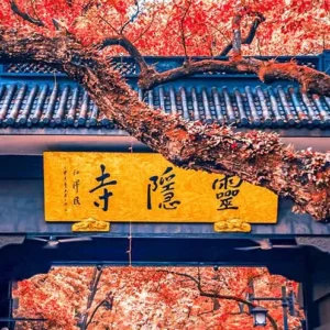 9 Days Shanghai Suzhou Hangzhou Huangshan Eastern China Tour