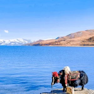 10 Days Chengdu & Lhasa to Kathmandu Overland Tour