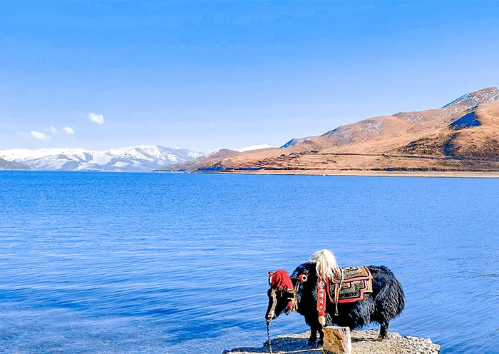 10 Days Chengdu & Lhasa to Kathmandu Overland Tour