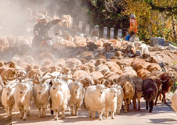 10 Days North Xinjiang Amazing Adventure with Diverse Landscapes