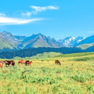 10 Days North Xinjiang Amazing Adventure with Diverse Landscapes