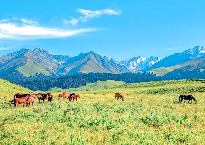 10 Days North Xinjiang Amazing Adventure with Diverse Landscapes