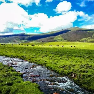 10 Days Sichuan Tibet Epic Overland Tour in Small Group