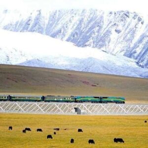 11 Days Tibet Train Tour from Shanghai