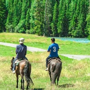12 Days Amazing Northern Xinjiang Group Tour: Idyllic Villages, Lakes, Grasslands, Deserts