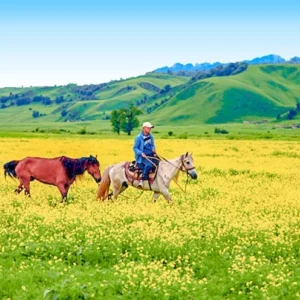 12 Days Amazing Northern Xinjiang Group Tour: Idyllic Villages, Lakes, Grasslands, Deserts