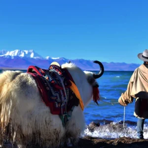 12 Days Overall Tibet Group Tour
