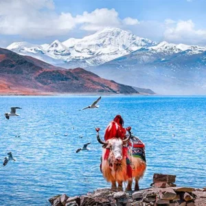 12 Days Overall Tibet Group Tour