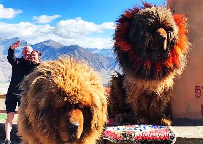 13 Days Lhasa to Kathmandu Overland Tour via Gyirong with EBC