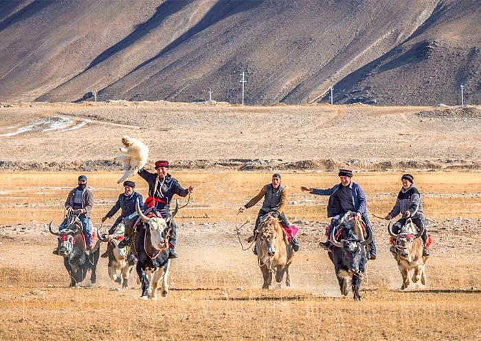 13 Days Xinjiang Silk Road Tour: Western Regions Expedition with Taklamakan Desert