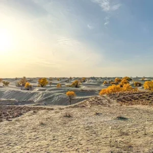 13 Days Xinjiang Silk Road Tour: Western Regions Expedition with Taklamakan Desert