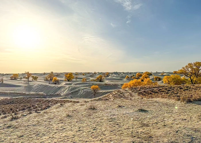 13 Days Xinjiang Silk Road Tour: Western Regions Expedition with Taklamakan Desert