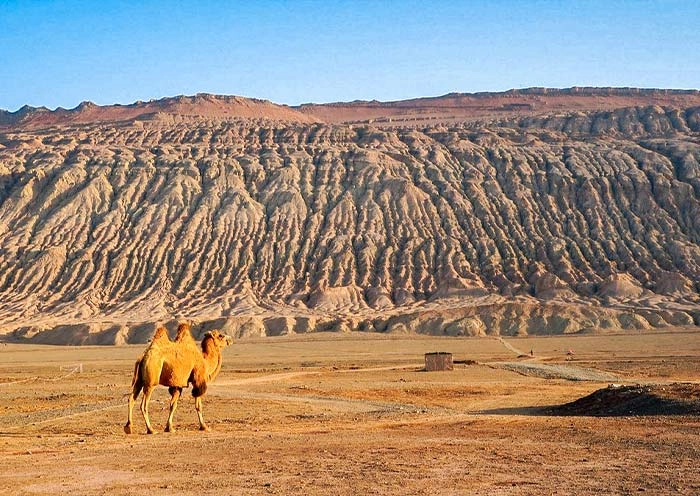 13 Days Xinjiang Silk Road Tour: Western Regions Expedition with Taklamakan Desert