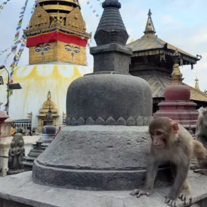 14 Days Tibet Nepal Overland Odyssey Tour (Classic Route)