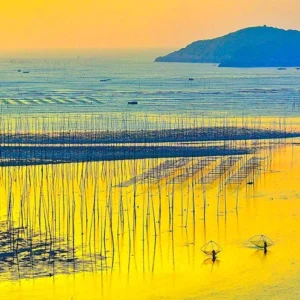 4 Days Xiapu Mudflat Photo Tour